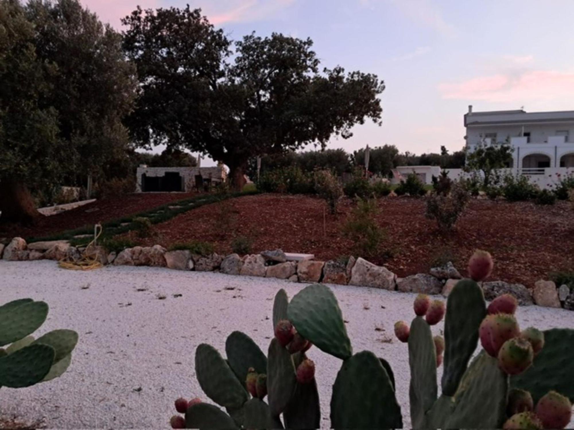 Casa Vacanze 'La Quercia' Cisternino Exteriör bild