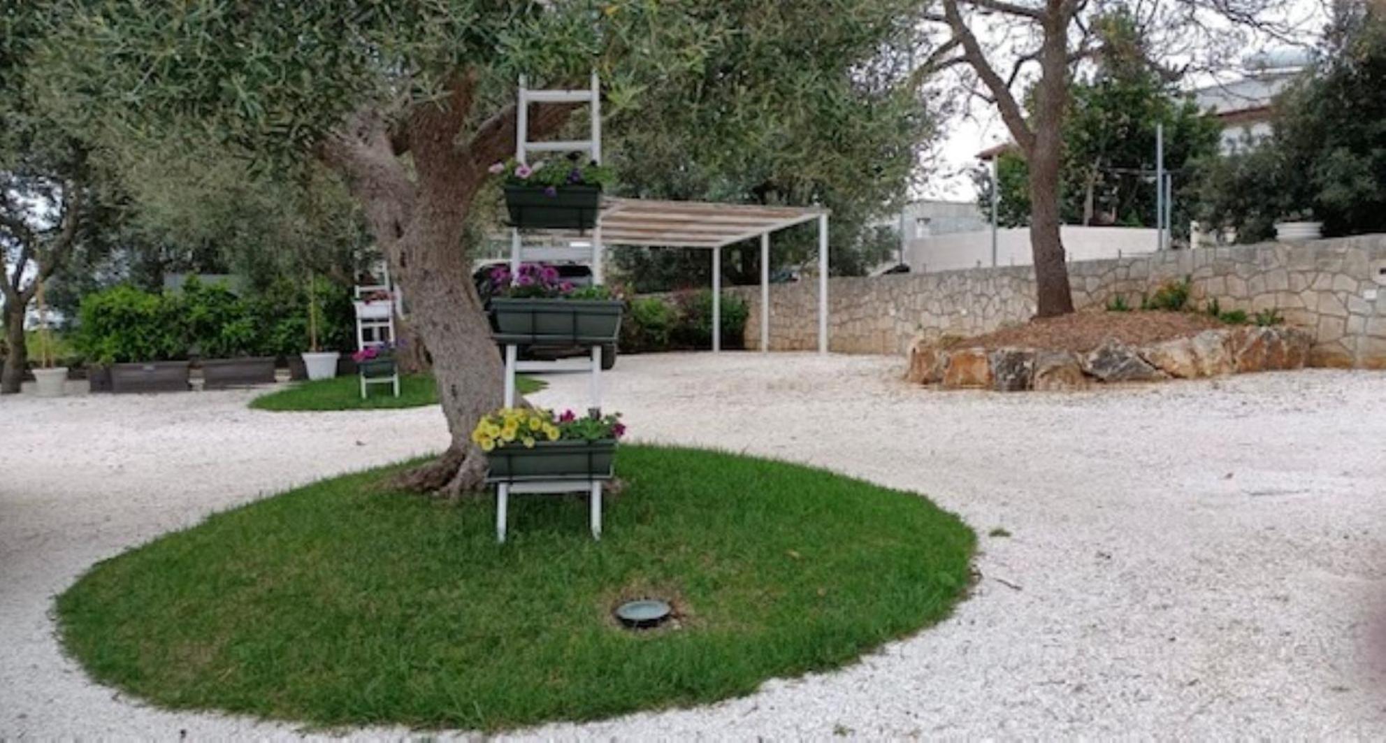 Casa Vacanze 'La Quercia' Cisternino Exteriör bild